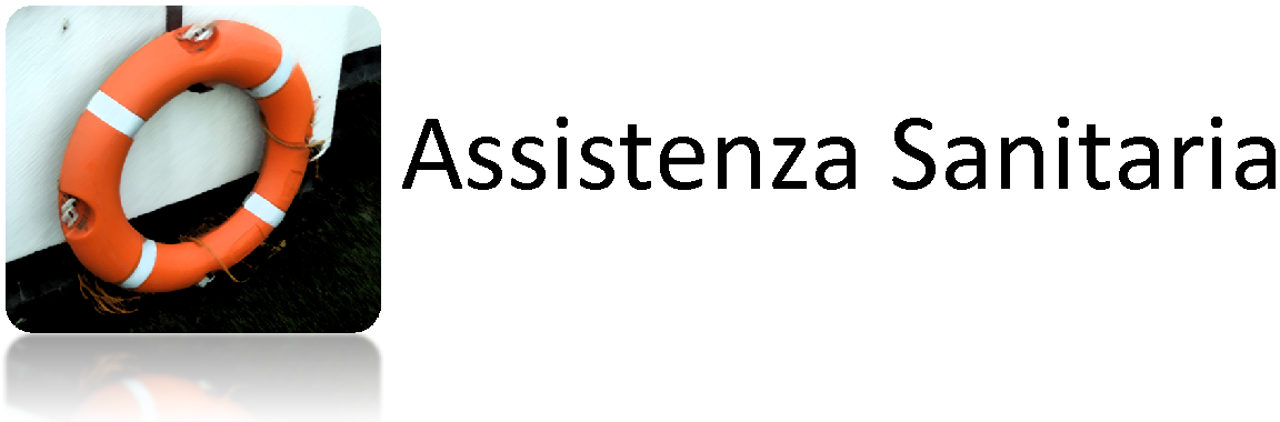 ass sanit1